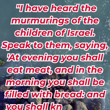 “God Provides Meat and Bread for His People” exodus 16:12. #shortvideo #youtubeshorts #ytshorts #yt