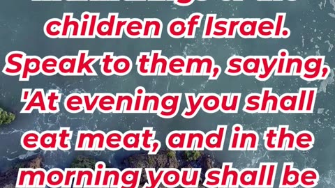 “God Provides Meat and Bread for His People” exodus 16:12. #shortvideo #youtubeshorts #ytshorts #yt