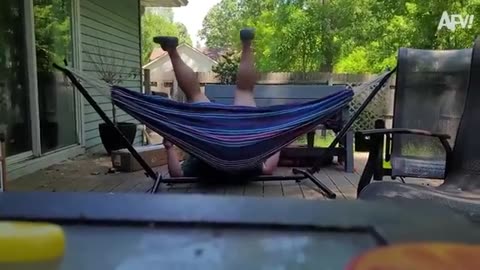 Try Not to Laugh Challenge 🤣