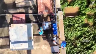 President calls Cyclone Ditwah 'largest' disaster in Sri Lanka history