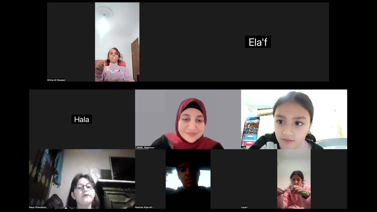 Talking about family Class (3)