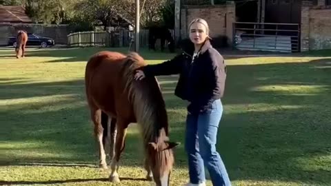 The End 😂😂 Funniest Fail You'll Watch Today! #Shorts
