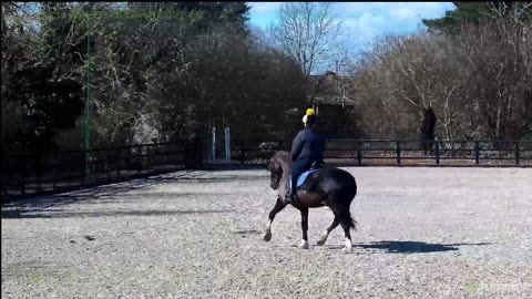 Mousehold Farm All Weather Riding arena