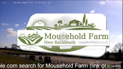 Mousehold Farm All Weather Riding arena