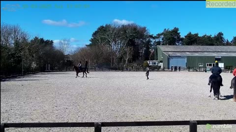 Mousehold Farm All Weather Riding arena