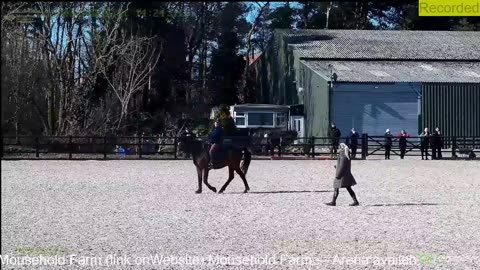 Mousehold Farm All Weather Riding arena