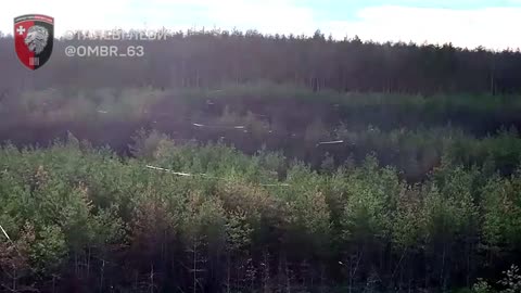 Entire Forests Covered in Fiber-Optic Cables