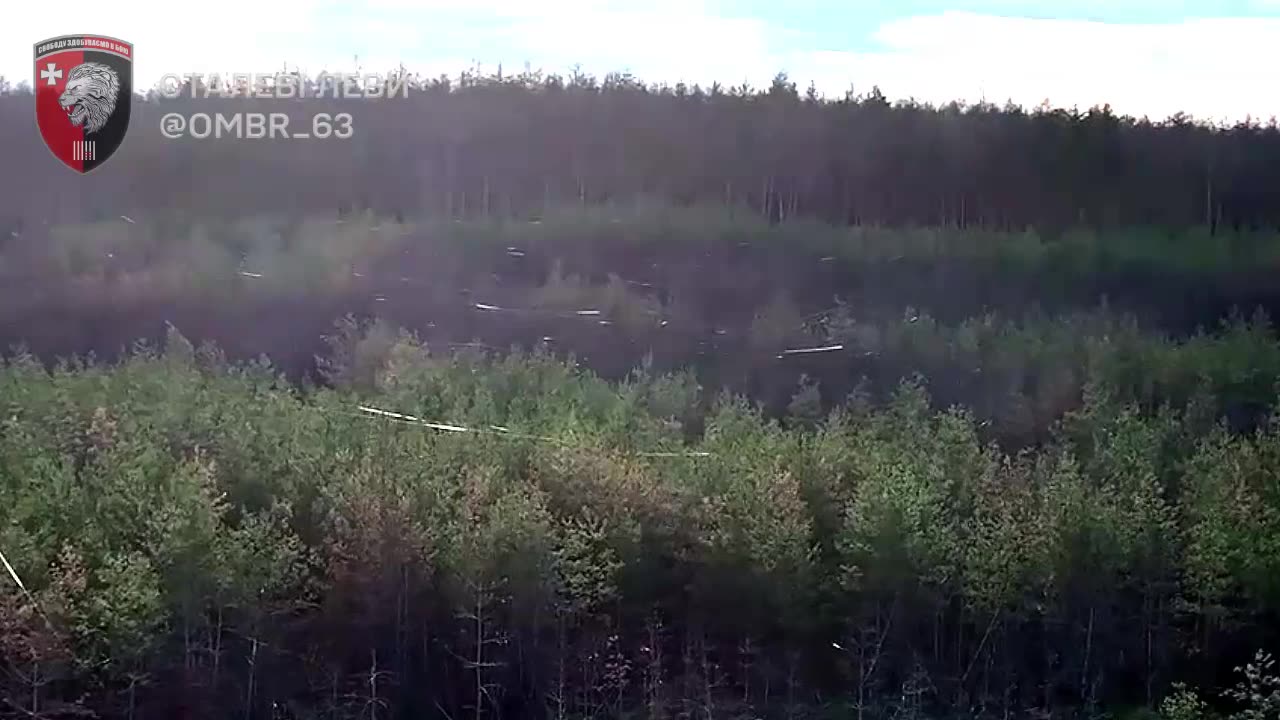 Entire Forests Covered in Fiber-Optic Cables