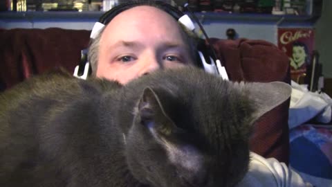 A Cat Video