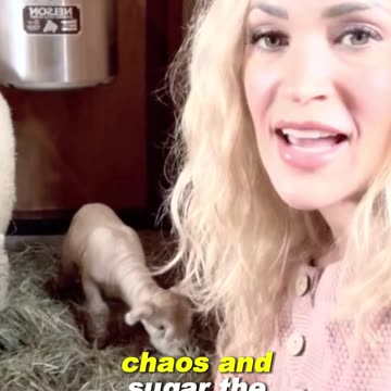 Carrie Underwood’s Life With 4 Dogs – From Sweet Sugar to Puppy Mayhem! - WorldEye