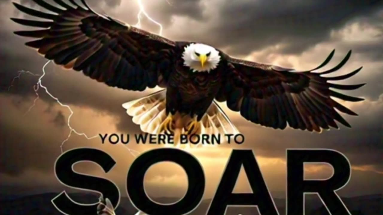 You Were Born to Soar – Motivational Story That Will Change Your Mindset"