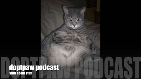 dotpaw podcast - Old, Fat & Grey -