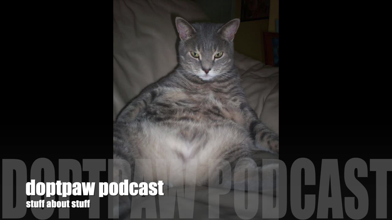 dotpaw podcast - Old, Fat & Grey -