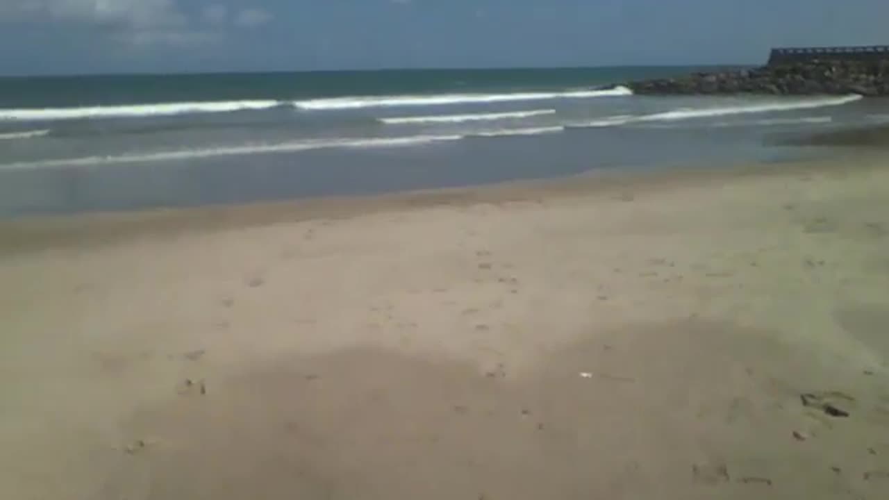 Walking on the sand of the beach, and filming the sea and the waves [Nature & Animals]