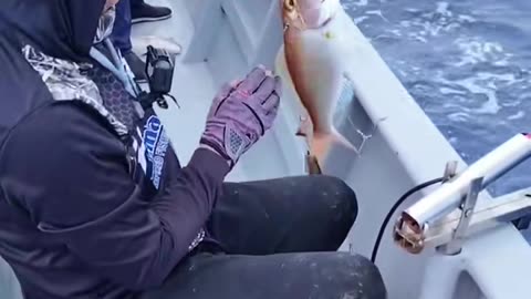 Powerfull rod
