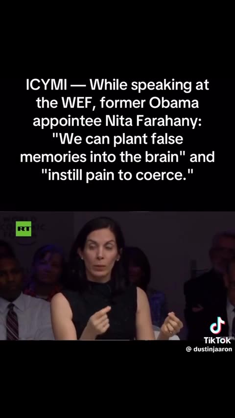 What is the WEF for? What is their purpose?