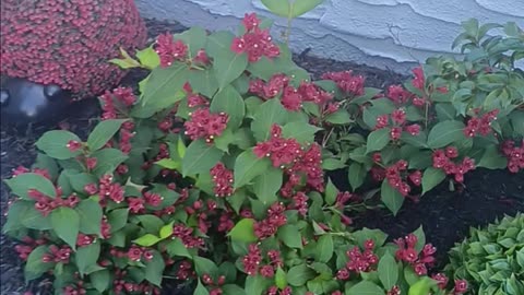 Spring colors