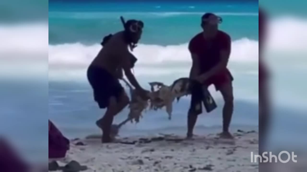 Horrible: The Body Of A Man Who Drowned In Cancun Has Been Recovered, His Body Was Eaten By Sharks!