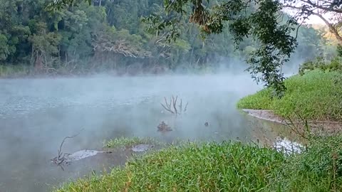 3.7.2025 The Barron River, Kuranda
