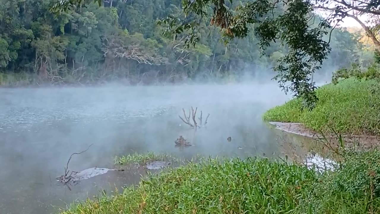 3.7.2025 The Barron River, Kuranda
