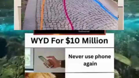 Memes of the day | funny memes | #funny