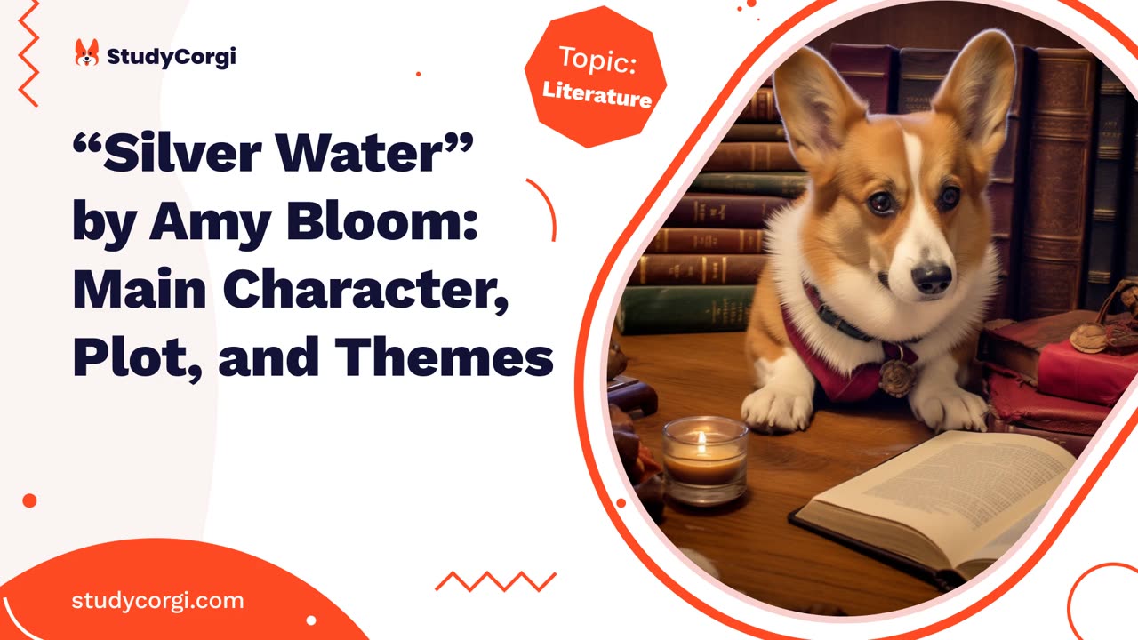 “Silver Water” by Amy Bloom: Main Character, Plot, and Themes - Essay Example