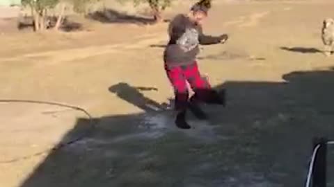 Pet vs Hooman | Funny Animal Fights & Adorable Chaos
