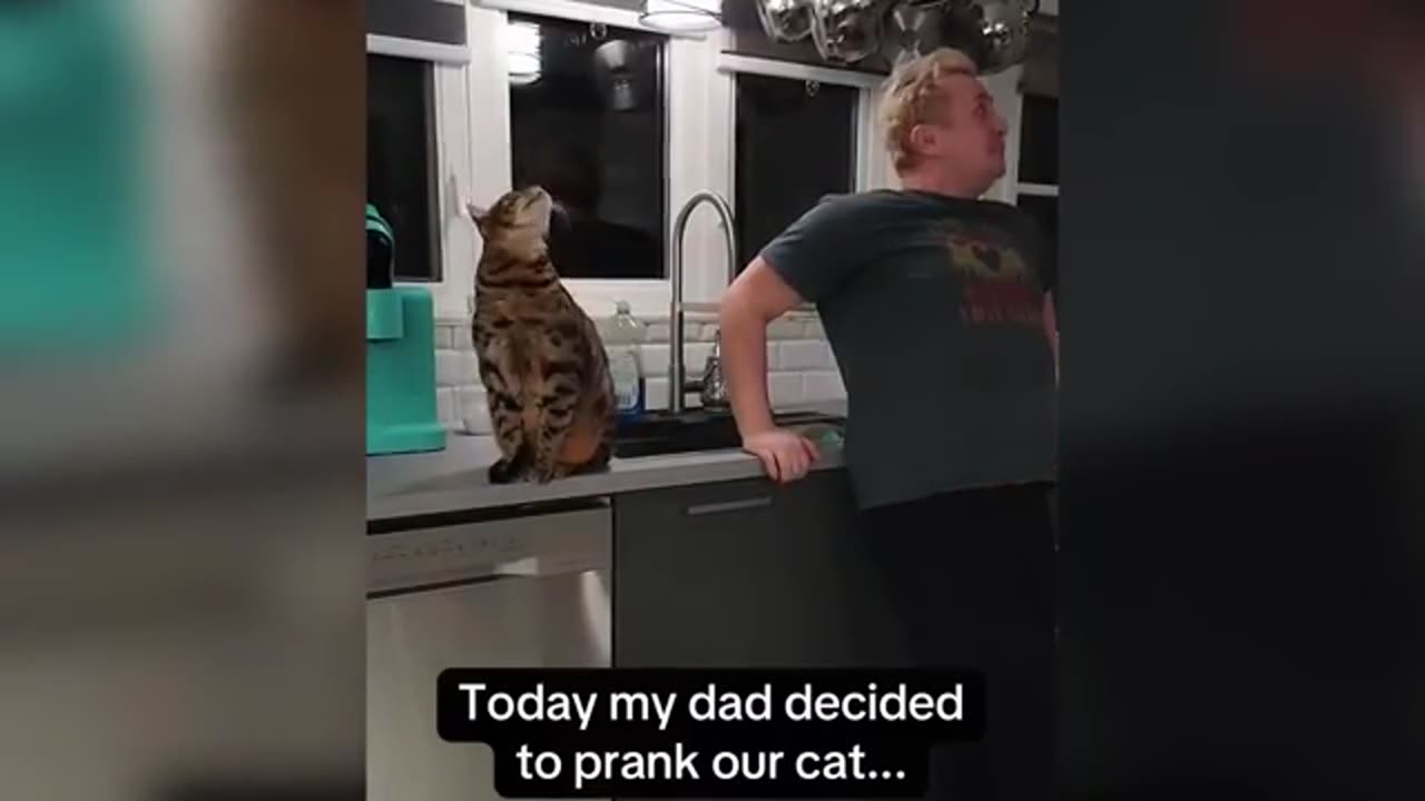 TRY NOT TO LAUGH 😆 Best Funny Videos Compilation 😂😁😆 Memes.
