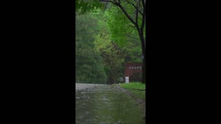 Whisper Loop – where calm repeats forever.