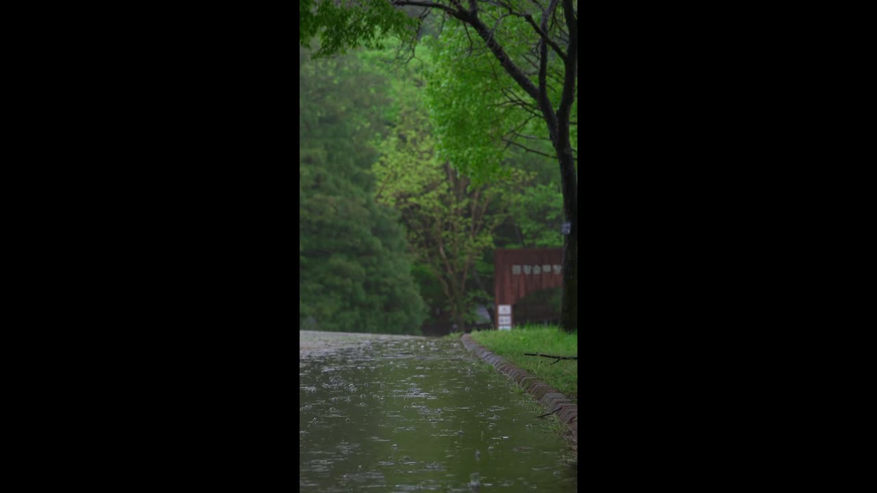 Whisper Loop – where calm repeats forever.