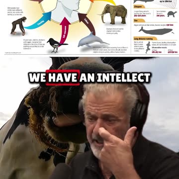 Mel Gibson on What Truly Separates Humans from Animals - Joe Rogan Experience