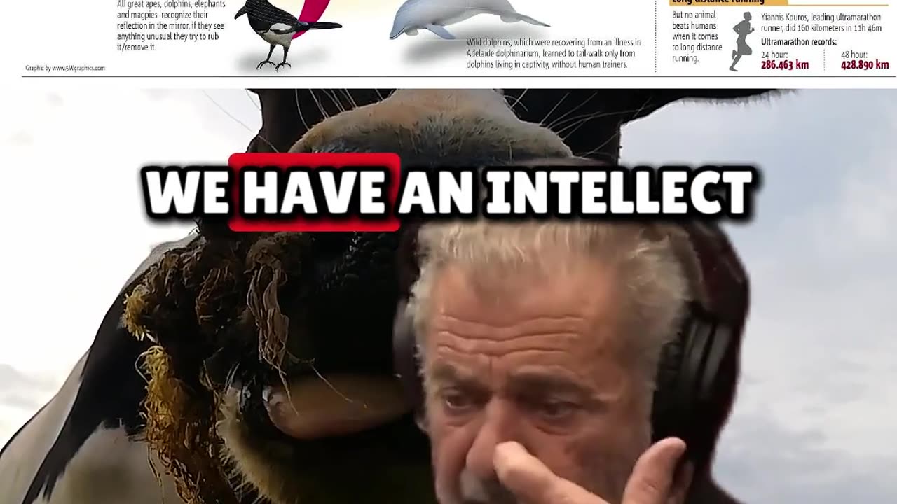 Mel Gibson on What Truly Separates Humans from Animals - Joe Rogan Experience