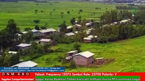 Oduu Galgala ONM-ABO Waxaabajjii 14-2025 itti dhiyaadhaa!