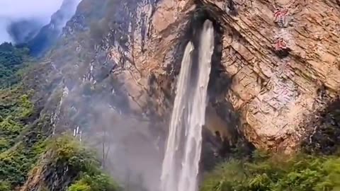 Peaceful Outdoor Views 🌳 Stunning Nature Scenes 🐦🌺 Amazing Nature Views 🍃 #Shorts