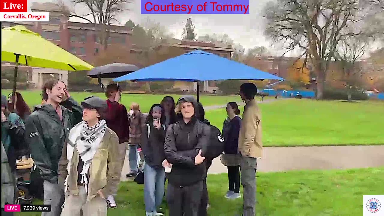 The patriots are back!