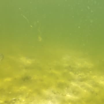 Kayak on The South Side, PT - Margem Sul, S02E08 LAGOA de ALBUFEIRA 29th of July 2K25 Part 4.3