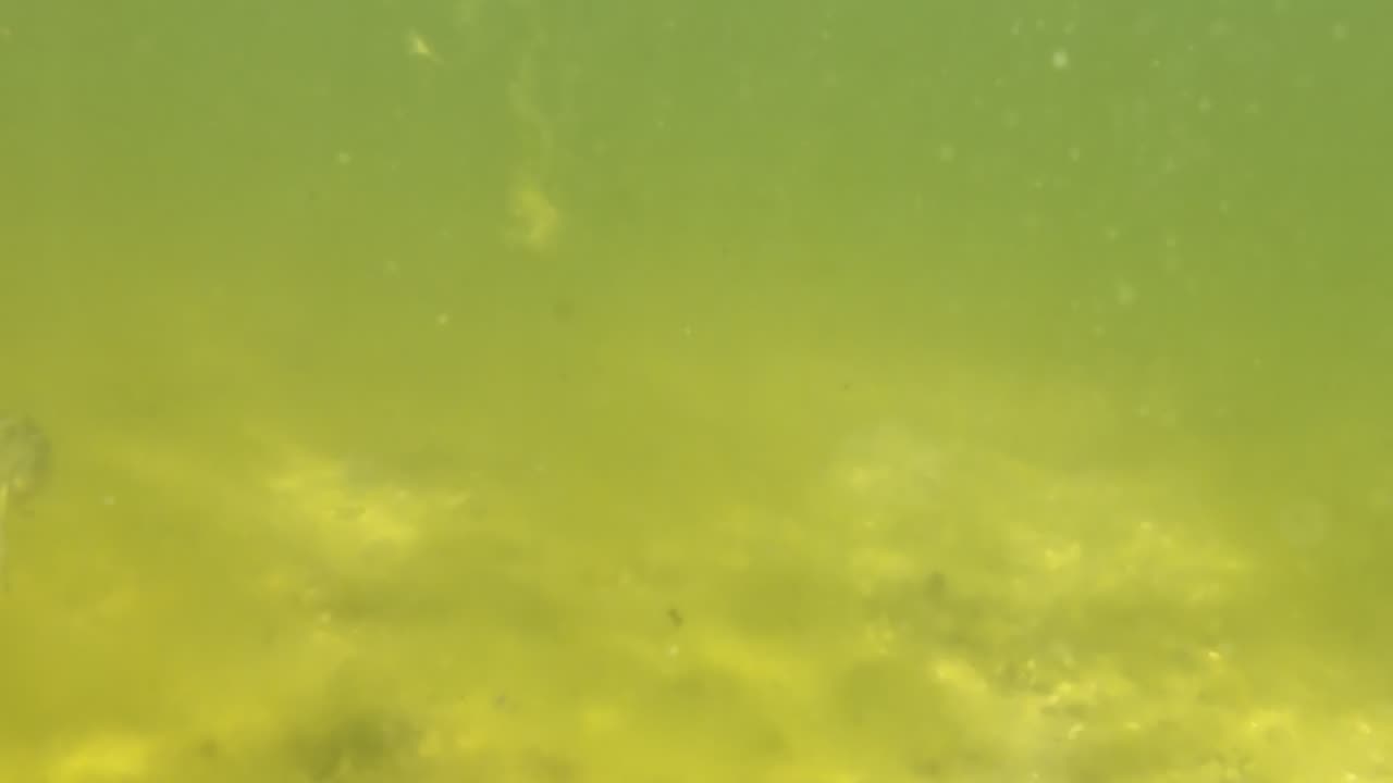 Kayak on The South Side, PT - Margem Sul, S02E08 LAGOA de ALBUFEIRA 29th of July 2K25 Part 4.3