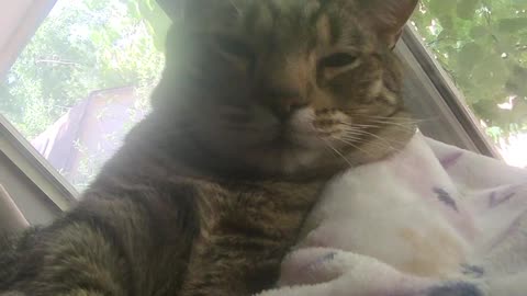 Napping