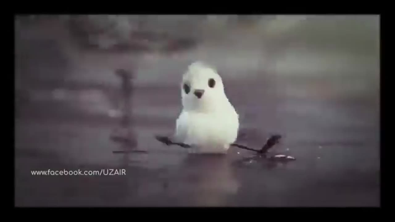 Believe your self