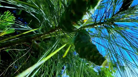 Relaxation guided for stress relief - 🍃🍀😌☺️