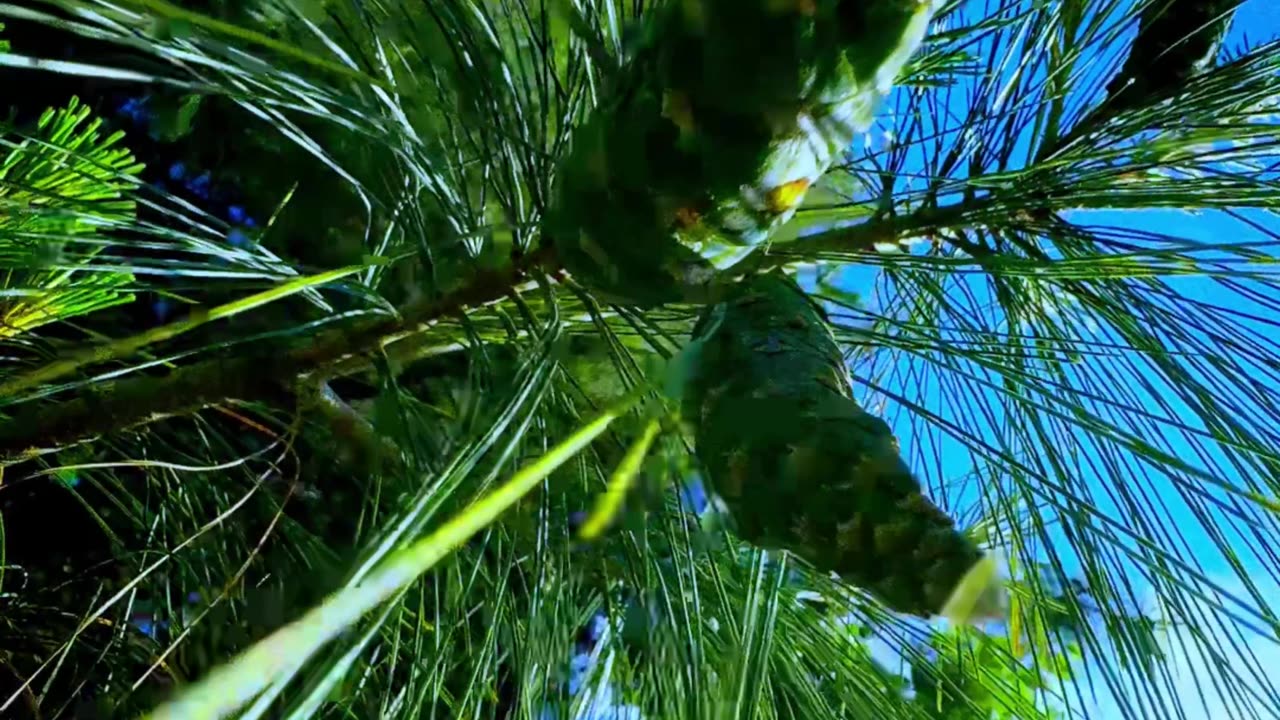 Relaxation guided for stress relief - 🍃🍀😌☺️