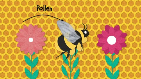 What is a Bumblebee Insect? It's vs - A Bumblebee vs Honeybee Showdown!