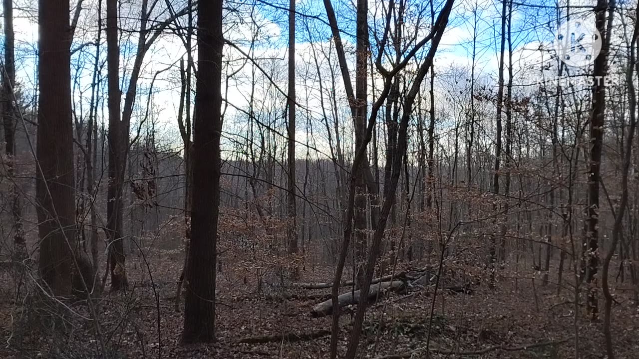 Destination Truth explores the Hoosier National Forest