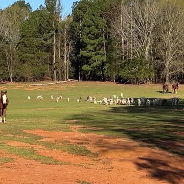 Everyone just wants to say Hi