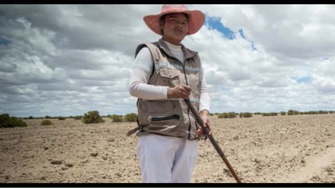 भूमि की गुणवत्ता में गिरावट से अरबों प्रभावित, एक 'ख़ामोश संकट' की चेतावनी