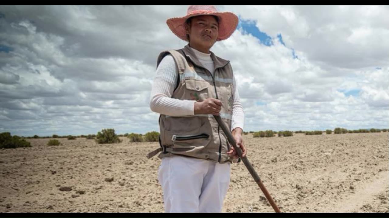 भूमि की गुणवत्ता में गिरावट से अरबों प्रभावित, एक 'ख़ामोश संकट' की चेतावनी