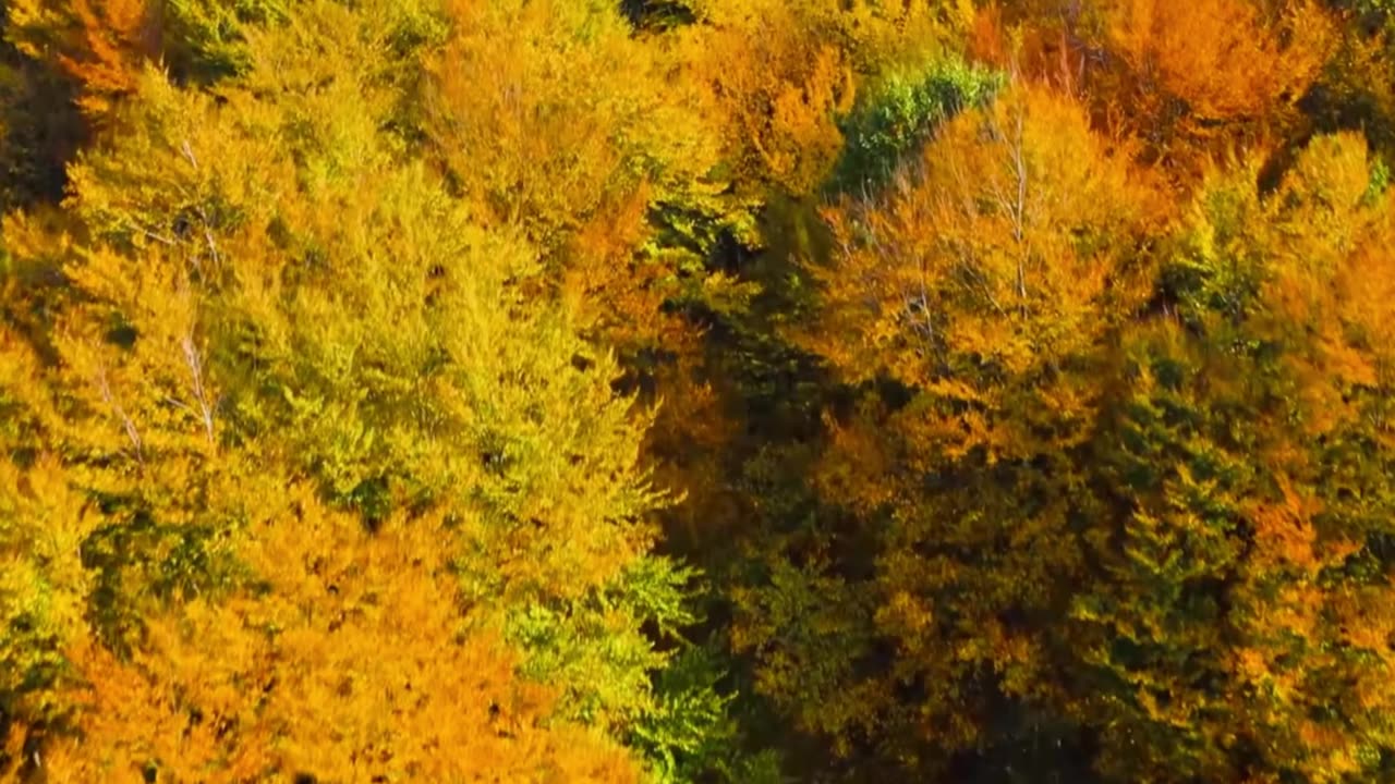 Night Study Classical Lofi Chill