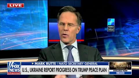 Sec Gen NATO Mark Rutte on Trump's peace plan for UKR-RU war