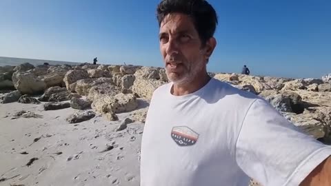 cambio foce o uscita di uno dei 1 gamberi vivi o shrimp_part18