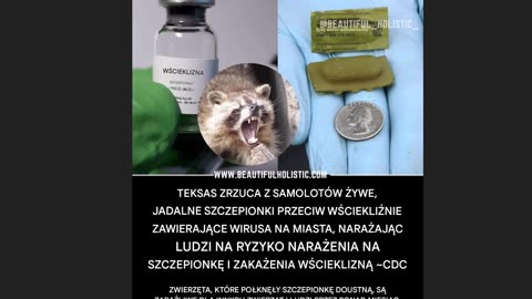 Teksas obecnie rozrzuca z samolotów 700 000 przynęt z żywą szczepionką na wścieklizne w 19 hrabstwach przygranicznych.